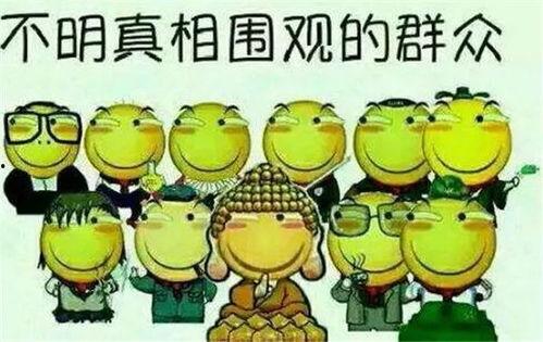 讲娱乐故事理智吃瓜,娱乐故事中的智慧解析